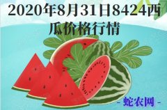 2020年8月31日8424西瓜价格...