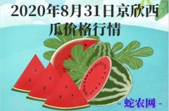 2020年8月31日京欣西瓜价格行情...
