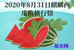 2020年8月31日麒麟西瓜价格行情...