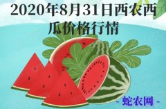 2020年8月31日西农西瓜价格行情...