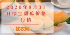 2020年8月31日绿宝甜瓜价格行情...