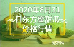 2020年8月31日东方蜜甜瓜价格行...