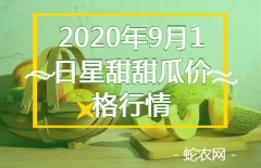 2020年9月1日星甜甜瓜价格行情、...