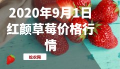 2020年9月1日红颜草莓价格行情、...