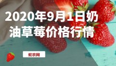 2020年9月1日奶油草莓价格行情、...