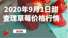 2020年9月1日甜查理草莓价格行情...