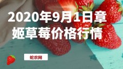 2020年9月1日章姬草莓价格行情、...