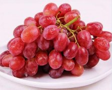2020年9月1日克伦生葡萄价格行情...