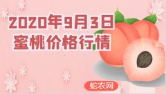 2020年9月3日蜜桃价格行情、今日...