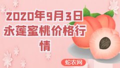 2020年9月3日永莲蜜桃价格行情、...