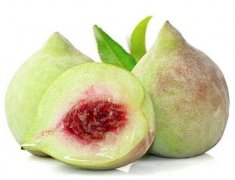 2020年9月3日鹰嘴蜜桃价格行情、...