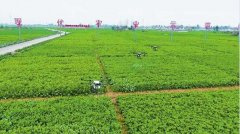 四川：到2022年四川粮油综合产值将...