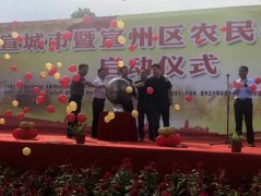 宣城农民丰收节：2020年宣城市暨宣...