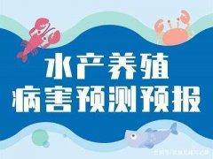 水产养殖疾病防治：2020年8月份全...