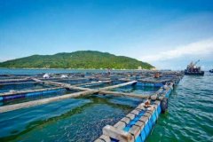 水产养殖疾病防治：广东省2020年8...
