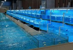 水产养殖疾病防治：上海市2020年8...