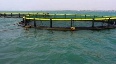 水产养殖疾病防治：海南省2020年8...