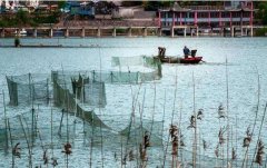 水产养殖疾病防治：湖南省2020年8...