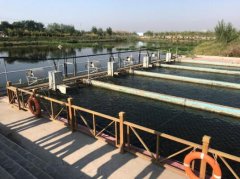水产养殖疾病防治：宁夏2020年8月...