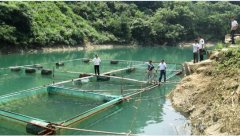 水产养殖疾病防治：贵州省2020年8...