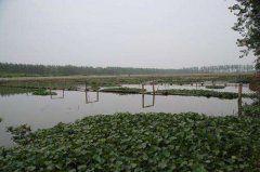 水产养殖疾病防治：内蒙古自治区202...