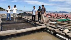 水产养殖疾病防治：浙江省2020年8...