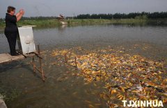 水产养殖疾病防治：天津2020年9月...