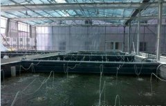 水产养殖疾病防治：上海市2020年9...