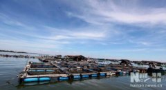 水产养殖疾病防治：海南省2020年9...