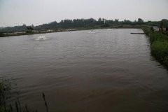 水产养殖疾病防治：湖南省2020年9...