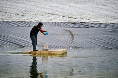水产养殖疾病防治：宁夏2020年9月...