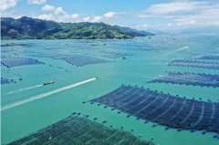 水产养殖疾病防治：福建省2020年9...