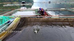 水产养殖疾病防治：广西2020年9月...