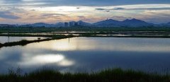 水产养殖疾病防治：河南省2020年9...