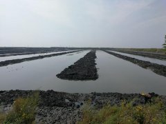 水产养殖疾病防治：辽宁省2020年9...