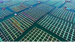 水产养殖疾病防治：山东省2020年9...