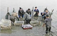 水产养殖疾病防治：新疆维吾尔自治区2...
