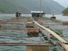 2020年9月云南省水产养殖病害预测...