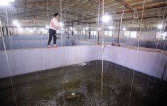 2020年10月天津水产养殖病害预测...