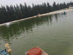 2020年10月海南省水产养殖病害预...