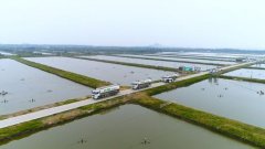 2020年10月河北省水产养殖病害预...