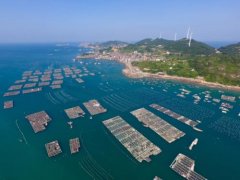 2020年10月福建省水产养殖病害预...