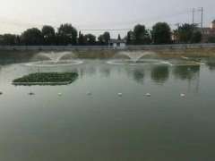 2020年10月吉林省水产养殖病害预...