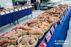 山东：当“泗水地瓜”遇到“尼山鹿鸣”