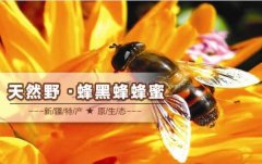 2020年10月23日黑蜂蜂蜜价格行...