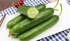 2020年10月26日小黄瓜价格行情...