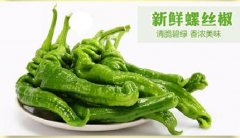 2020年10月28日螺丝椒价格行情...