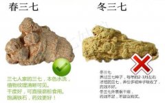 2020年10月29日冬七价格行情、...