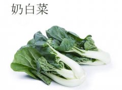 2020年10月29日奶白菜价格行情...