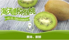 2020年11月4日海沃德猕猴桃价格...